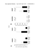 BIOMARKERS AND METHODS FOR DETERMINING SENSITIVITY TO VASCULAR ENDOTHELIAL GROWTH FACTOR RECEPTOR-2 MODULATORS diagram and image