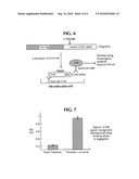 Method for Identifying Modulators of Gamma Secretase or Notch diagram and image