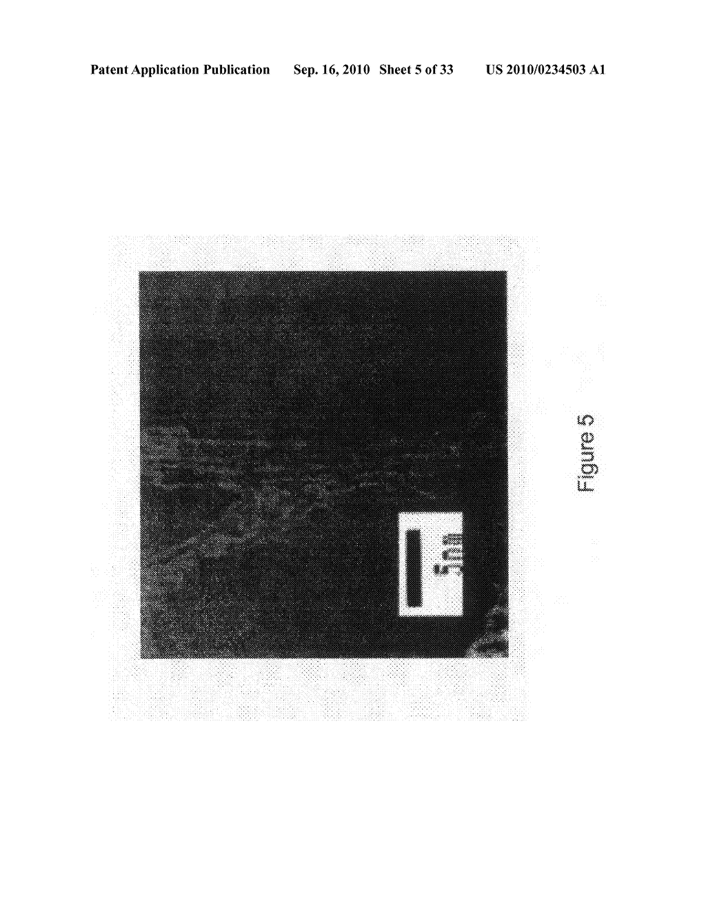 POLYMER COMPOSITES MECHANICALLY REINFORCED WITH ALKYL AND UREA FUNCTIONALIZED NANOTUBES - diagram, schematic, and image 06