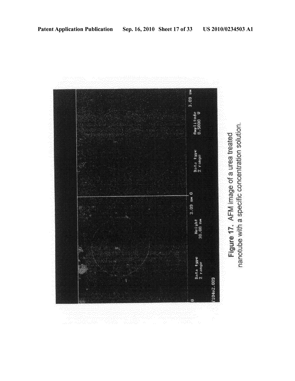 POLYMER COMPOSITES MECHANICALLY REINFORCED WITH ALKYL AND UREA FUNCTIONALIZED NANOTUBES - diagram, schematic, and image 18