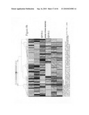 siRNA target hypoxia-inducible factor 1 diagram and image