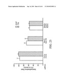 siRNA target hypoxia-inducible factor 1 diagram and image