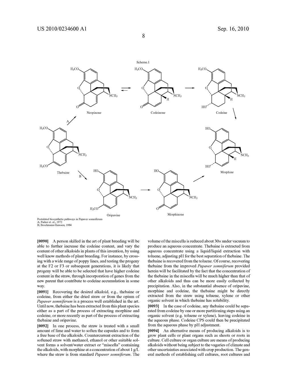 PAPAVER SOMNIFERUM WITH HIGH CONCENTRATION OF CODEINE - diagram, schematic, and image 13