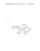 METHOD FOR PREDICTING SECONDARY STRUCTURE OF RNA, AN APPARATUS FOR PREDICTING AND A PREDICTING PROGRAM diagram and image