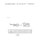 METHOD FOR PREDICTING SECONDARY STRUCTURE OF RNA, AN APPARATUS FOR PREDICTING AND A PREDICTING PROGRAM diagram and image