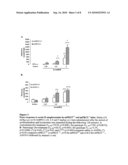 Novel Neurological Function of mPKCI diagram and image