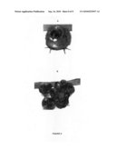 PRODUCTION OF TRANSGENIC AVIAN ORGANISMS EMPLOYING EMBRYONIC STEM CELLS diagram and image