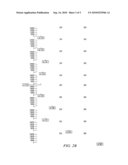 PLANT TRANSCRIPTIONAL FACTORS AS MOLECULAR MARKERS diagram and image