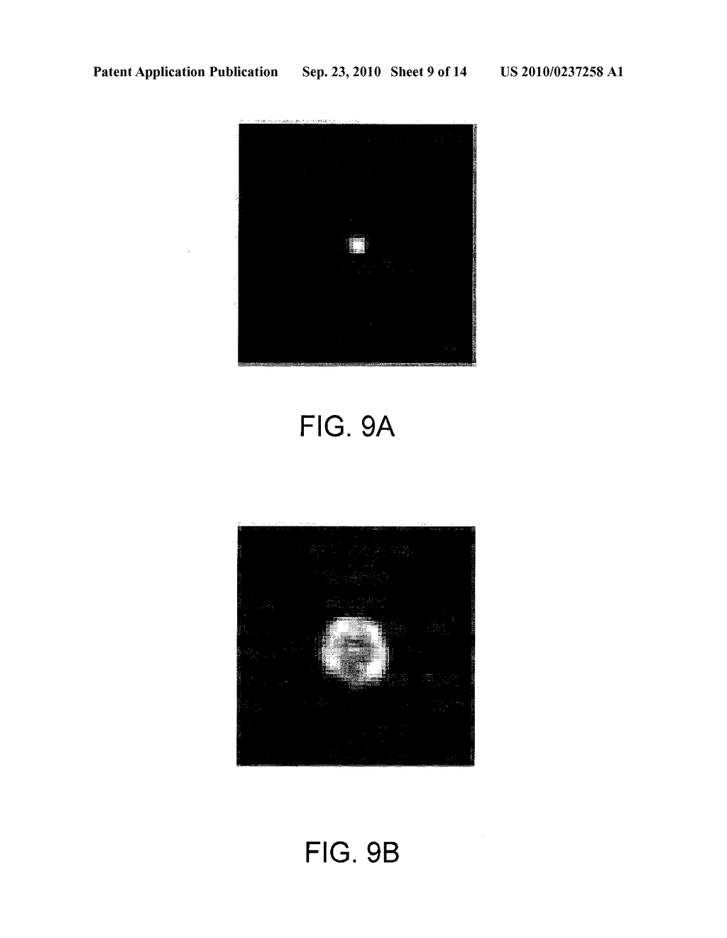 Systems and Methods for Altering Visual Acuity - diagram, schematic, and image 10