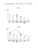 INFORMATION PROCESSING APPARATUS AND INFORMATION PROCESSING METHOD diagram and image