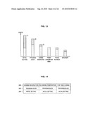 INFORMATION PROCESSING APPARATUS AND INFORMATION PROCESSING METHOD diagram and image