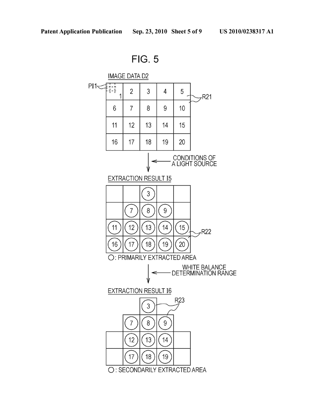 WHITE BALANCE PROCESSING APPARATUS, METHOD FOR PROCESSING WHITE BALANCE, AND WHITE BALANCE PROCESSING PROGRAM - diagram, schematic, and image 06