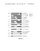 METHOD AND APPARATUS FOR DATA TRANSMISSION IN A TIME DIVISION DUPLEXING SYSTEM diagram and image