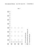 METHOD AND AN APPARATUS FOR PROCESSING A VIDEO SIGNAL diagram and image