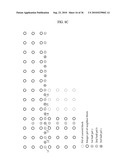 METHOD AND AN APPARATUS FOR PROCESSING A VIDEO SIGNAL diagram and image