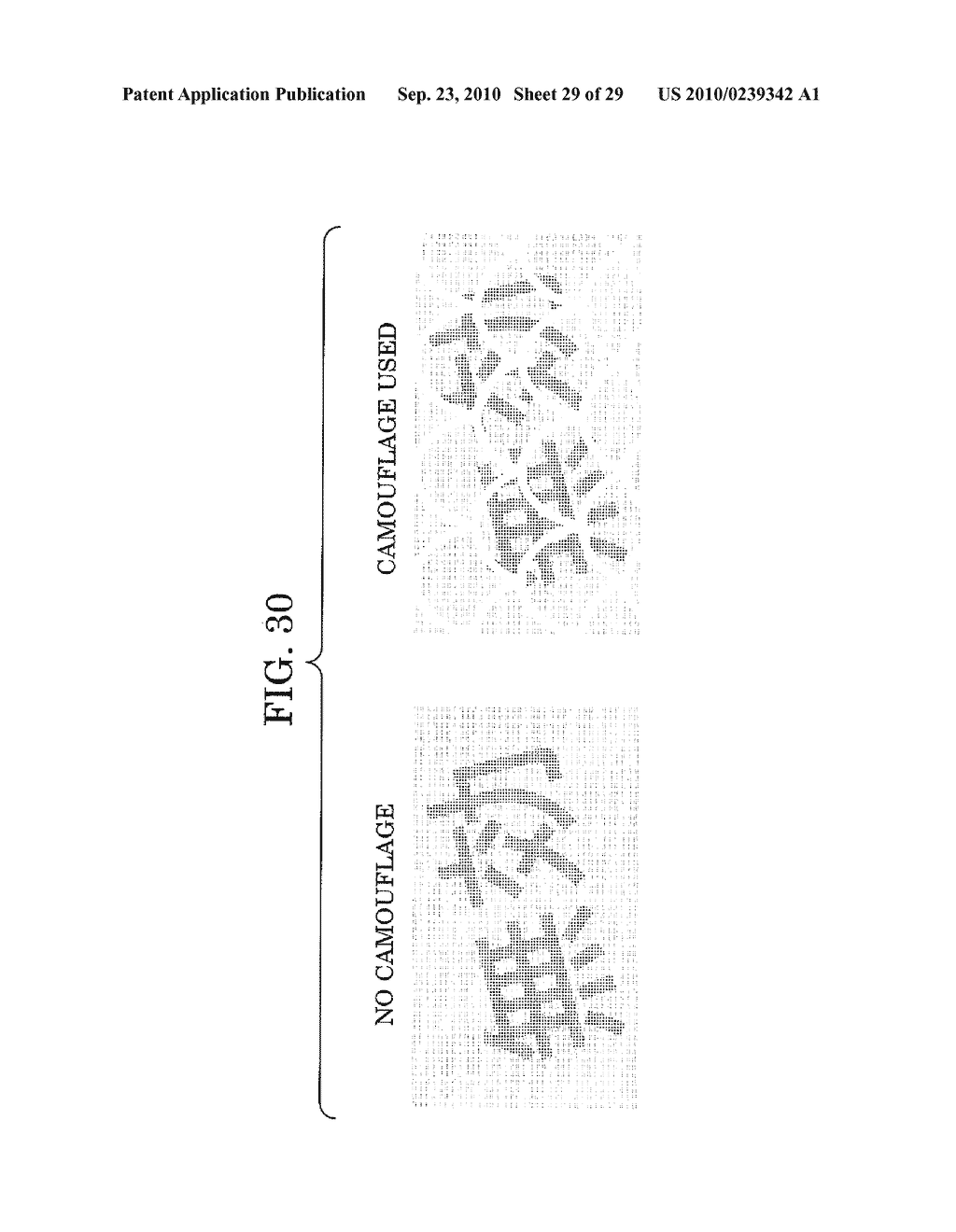 INFORMATION PROCESSING APPARATUS AND INFORMATION PROCESSING METHOD - diagram, schematic, and image 30