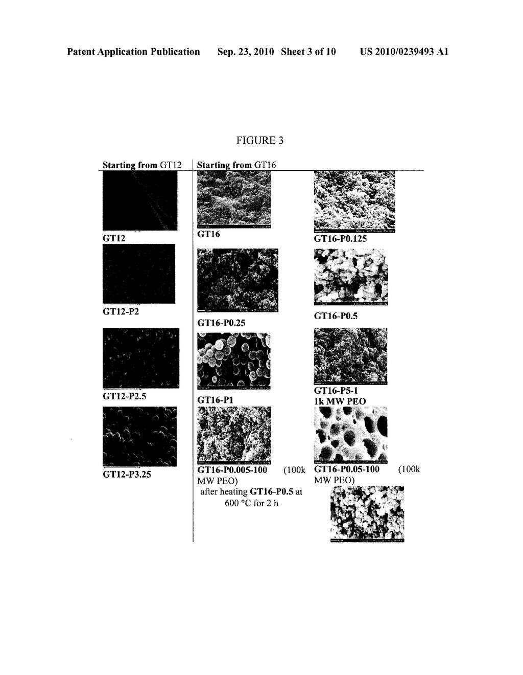 METHODS AND COMPOUNDS FOR FORMING MONOLITHIC TITANIA, OPTIONALLY BIOMOLECULE DOPED, WITH CONTROLLED MORPHOLOGY USING BIOCOMPATIBLE SOL-GEL PROCESSES - diagram, schematic, and image 04