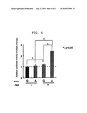 GENE SENSITIVE TO BONE/JOINT DISEASE AND USE THEREOF diagram and image