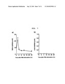 GENE SENSITIVE TO BONE/JOINT DISEASE AND USE THEREOF diagram and image