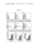 GENE SENSITIVE TO BONE/JOINT DISEASE AND USE THEREOF diagram and image