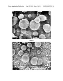 SURFACE MODIFIED AEROSOL PARTICLES, A METHOD AND APPARATUS FOR PRODUCTION THEREOF AND POWDERS AND DISPERSIONS CONTAINING SAID PARTICLES diagram and image