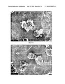 SURFACE MODIFIED AEROSOL PARTICLES, A METHOD AND APPARATUS FOR PRODUCTION THEREOF AND POWDERS AND DISPERSIONS CONTAINING SAID PARTICLES diagram and image