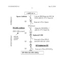 PEG-Interferon-Beta Formulations diagram and image