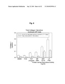 PROMOTING ECM PRODUCTION BY FIBROBLAST CELLS AND/OR PROMOTING MIGRATION OF FIBROBLAST CELLS IN A BIOLOGICAL SYSTEM diagram and image