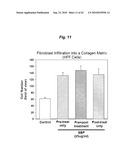 PROMOTING ECM PRODUCTION BY FIBROBLAST CELLS AND/OR PROMOTING MIGRATION OF FIBROBLAST CELLS IN A BIOLOGICAL SYSTEM diagram and image