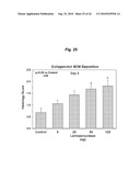 PROMOTING ECM PRODUCTION BY FIBROBLAST CELLS AND/OR PROMOTING MIGRATION OF FIBROBLAST CELLS IN A BIOLOGICAL SYSTEM diagram and image