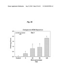 PROMOTING ECM PRODUCTION BY FIBROBLAST CELLS AND/OR PROMOTING MIGRATION OF FIBROBLAST CELLS IN A BIOLOGICAL SYSTEM diagram and image