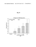 PROMOTING ECM PRODUCTION BY FIBROBLAST CELLS AND/OR PROMOTING MIGRATION OF FIBROBLAST CELLS IN A BIOLOGICAL SYSTEM diagram and image