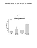 PROMOTING ECM PRODUCTION BY FIBROBLAST CELLS AND/OR PROMOTING MIGRATION OF FIBROBLAST CELLS IN A BIOLOGICAL SYSTEM diagram and image