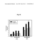 PROMOTING ECM PRODUCTION BY FIBROBLAST CELLS AND/OR PROMOTING MIGRATION OF FIBROBLAST CELLS IN A BIOLOGICAL SYSTEM diagram and image