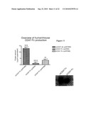 MODULATION OF SIRP-ALPHA - CD47 INTERACTION FOR INCREASING HUMAN HEMATOPOIETIC STEM CELL ENGRAFTMENT AND COMPOUNDS THEREFOR diagram and image