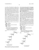 GLYCOCONJUGATES AND USE THEREOF AS VACCINE AGAINST SHIGELLA FLEXNERI SEROTYPE 3A AND X diagram and image