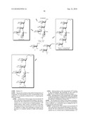 GLYCOCONJUGATES AND USE THEREOF AS VACCINE AGAINST SHIGELLA FLEXNERI SEROTYPE 3A AND X diagram and image