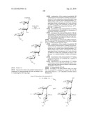 GLYCOCONJUGATES AND USE THEREOF AS VACCINE AGAINST SHIGELLA FLEXNERI SEROTYPE 3A AND X diagram and image