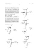 GLYCOCONJUGATES AND USE THEREOF AS VACCINE AGAINST SHIGELLA FLEXNERI SEROTYPE 3A AND X diagram and image