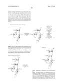 GLYCOCONJUGATES AND USE THEREOF AS VACCINE AGAINST SHIGELLA FLEXNERI SEROTYPE 3A AND X diagram and image