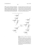 GLYCOCONJUGATES AND USE THEREOF AS VACCINE AGAINST SHIGELLA FLEXNERI SEROTYPE 3A AND X diagram and image