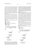 GLYCOCONJUGATES AND USE THEREOF AS VACCINE AGAINST SHIGELLA FLEXNERI SEROTYPE 3A AND X diagram and image