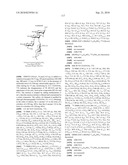 GLYCOCONJUGATES AND USE THEREOF AS VACCINE AGAINST SHIGELLA FLEXNERI SEROTYPE 3A AND X diagram and image