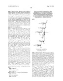 GLYCOCONJUGATES AND USE THEREOF AS VACCINE AGAINST SHIGELLA FLEXNERI SEROTYPE 3A AND X diagram and image