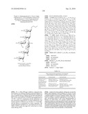 GLYCOCONJUGATES AND USE THEREOF AS VACCINE AGAINST SHIGELLA FLEXNERI SEROTYPE 3A AND X diagram and image