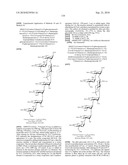 GLYCOCONJUGATES AND USE THEREOF AS VACCINE AGAINST SHIGELLA FLEXNERI SEROTYPE 3A AND X diagram and image