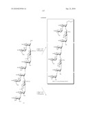 GLYCOCONJUGATES AND USE THEREOF AS VACCINE AGAINST SHIGELLA FLEXNERI SEROTYPE 3A AND X diagram and image