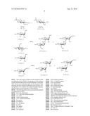 GLYCOCONJUGATES AND USE THEREOF AS VACCINE AGAINST SHIGELLA FLEXNERI SEROTYPE 3A AND X diagram and image