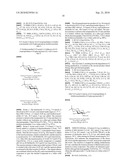 GLYCOCONJUGATES AND USE THEREOF AS VACCINE AGAINST SHIGELLA FLEXNERI SEROTYPE 3A AND X diagram and image