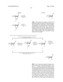 GLYCOCONJUGATES AND USE THEREOF AS VACCINE AGAINST SHIGELLA FLEXNERI SEROTYPE 3A AND X diagram and image